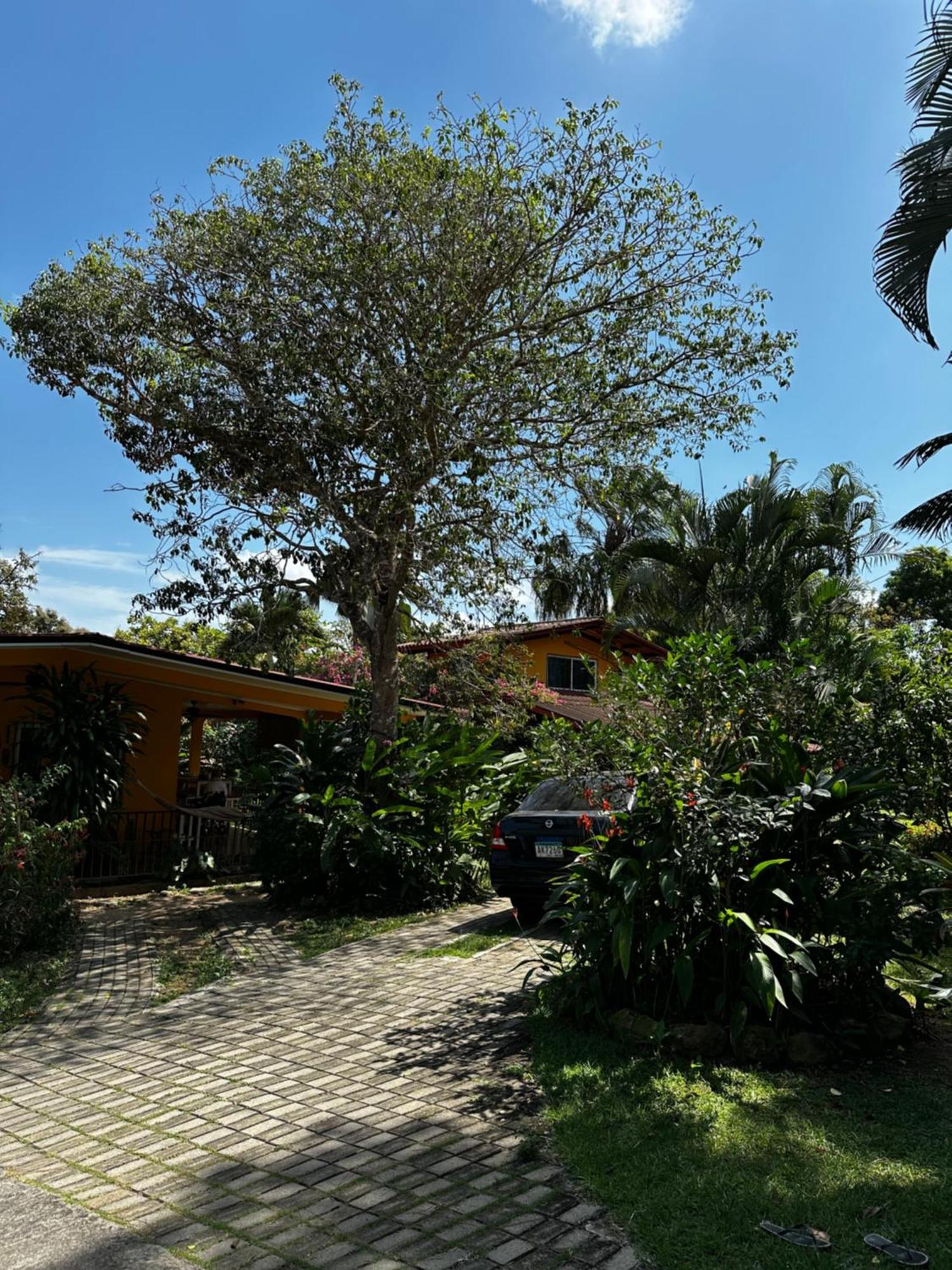 A Piece Of Paradise San Carlos Exterior photo
