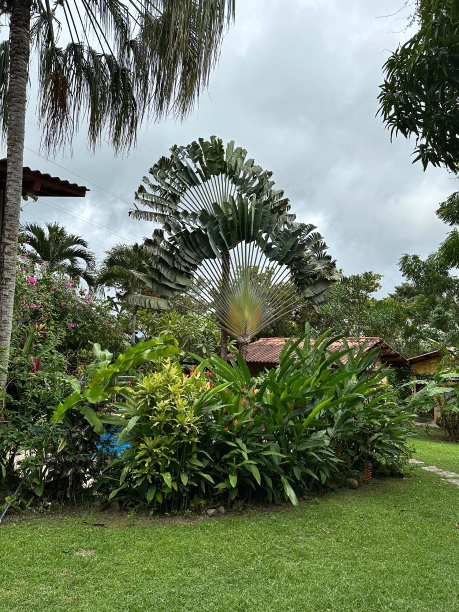 A Piece Of Paradise San Carlos Exterior photo