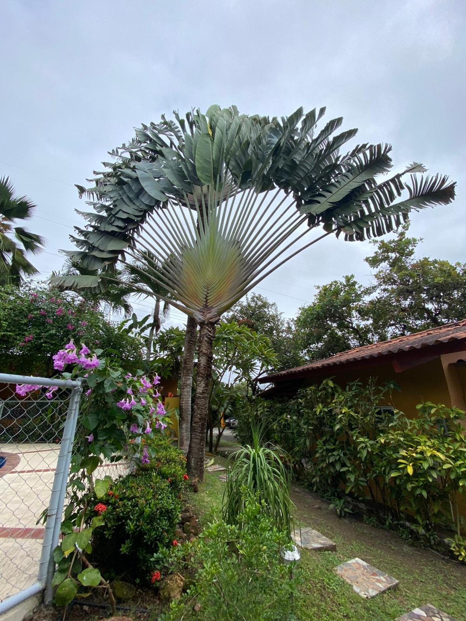 A Piece Of Paradise San Carlos Exterior photo