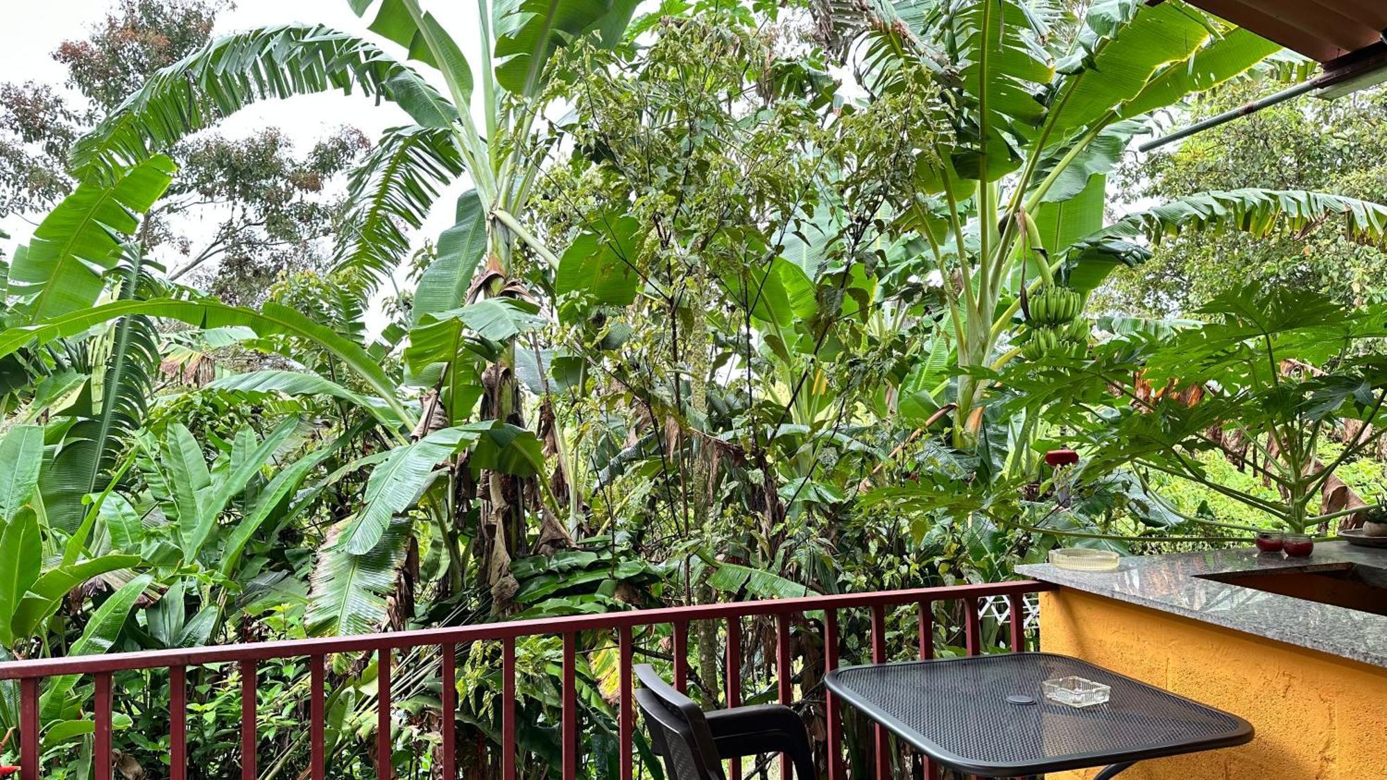 A Piece Of Paradise San Carlos Exterior photo