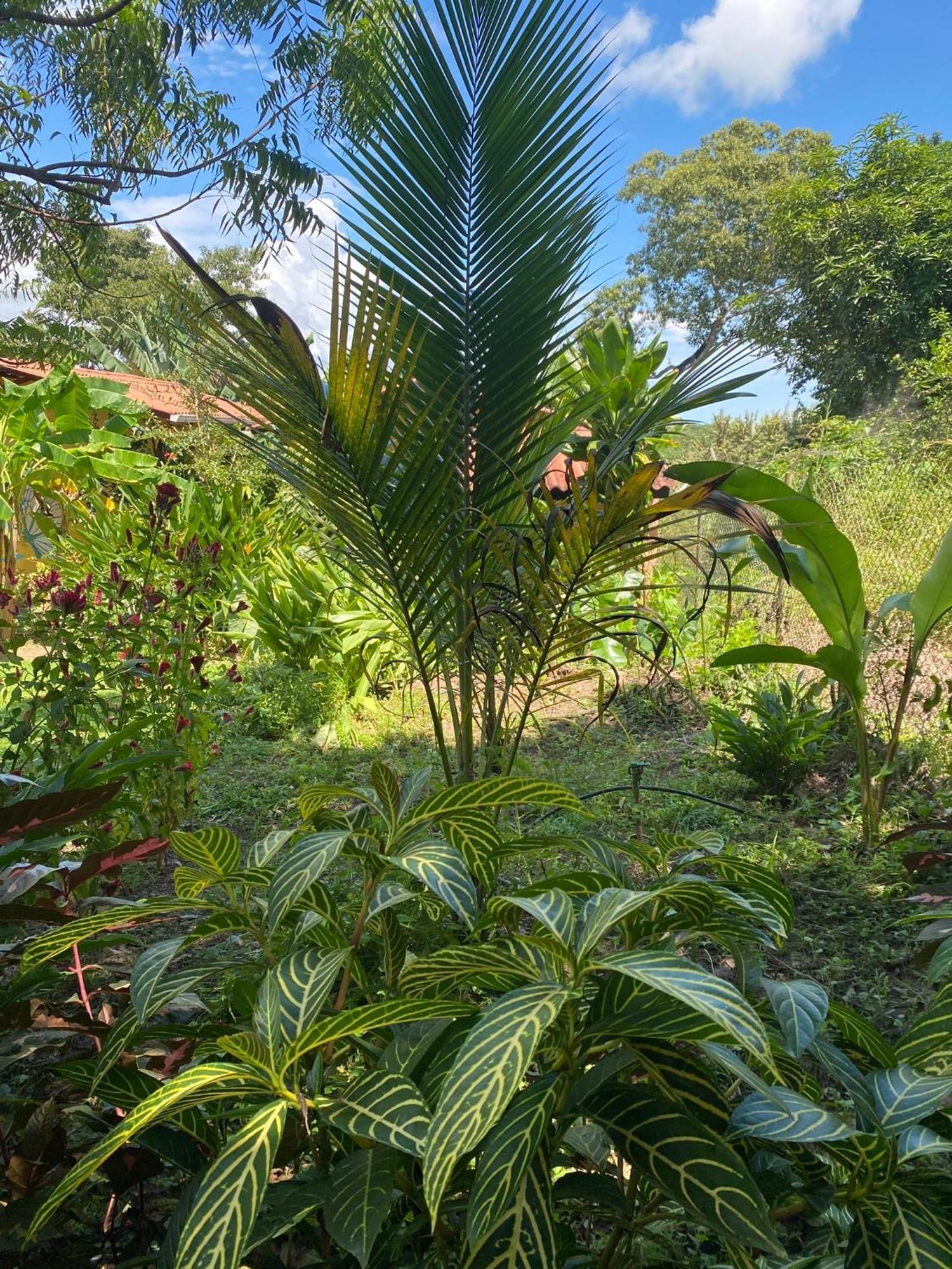 A Piece Of Paradise San Carlos Exterior photo